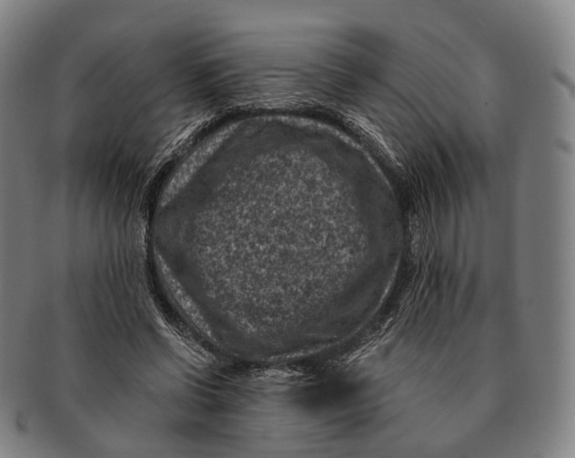X0000091000542200708301337