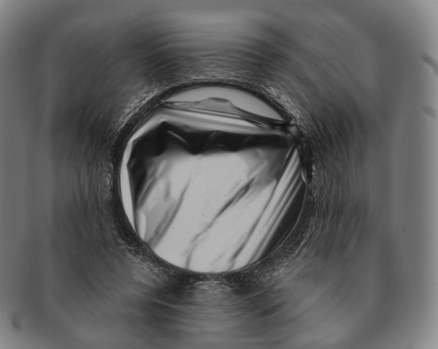 X0000091000544200708301337
