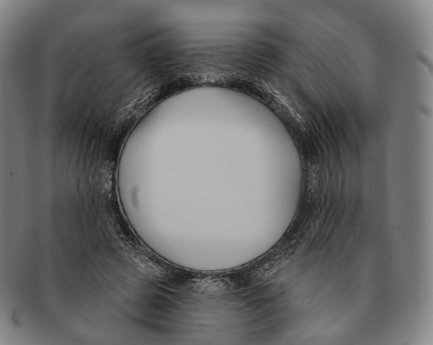 X0000091000545200708301337