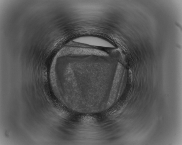 X0000091000547200708301337