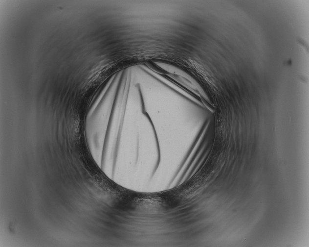 X0000091000548200708301337