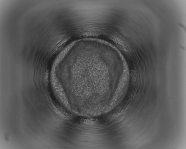 X0000091000550200708301337