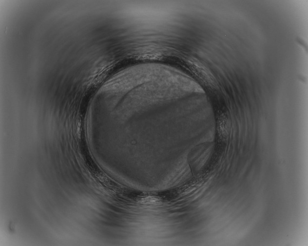 X0000091000551200708301337