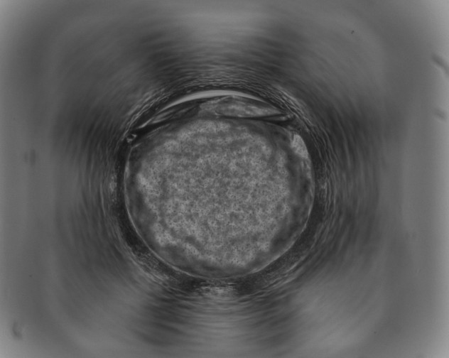 X0000091000552200708301337