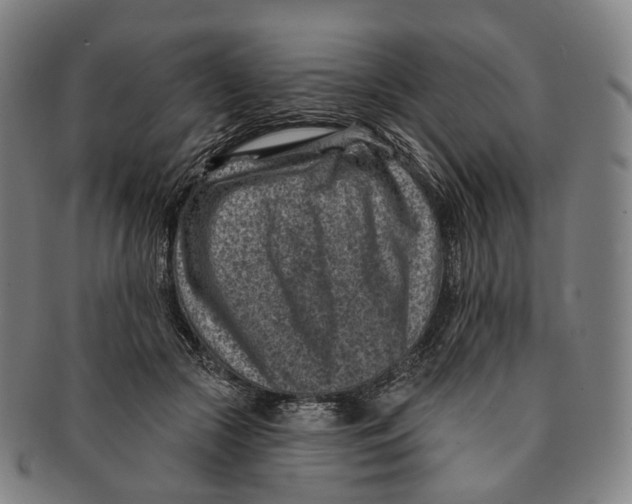 X0000091000553200708301337