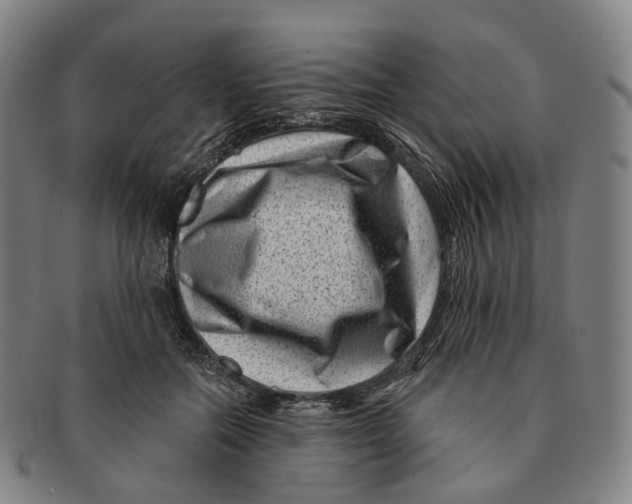X0000091000554200708301337