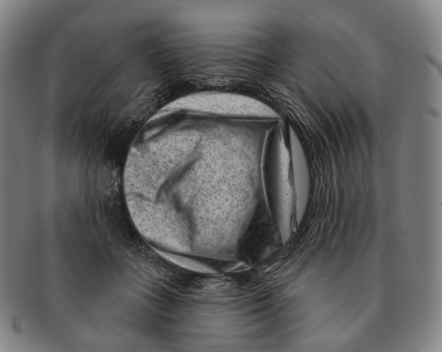 X0000091000555200708301337