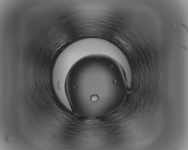 X0000091000556200708301337