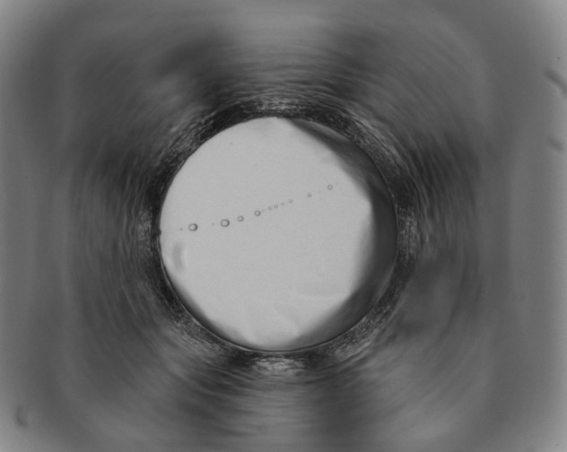 X0000091000557200708301337