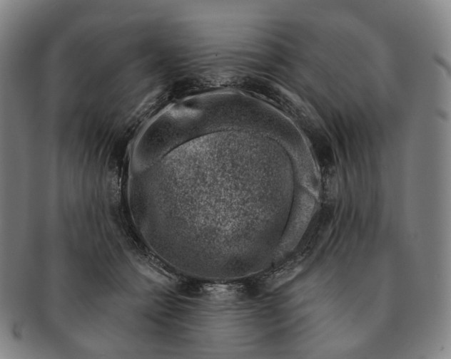 X0000091000558200708301337