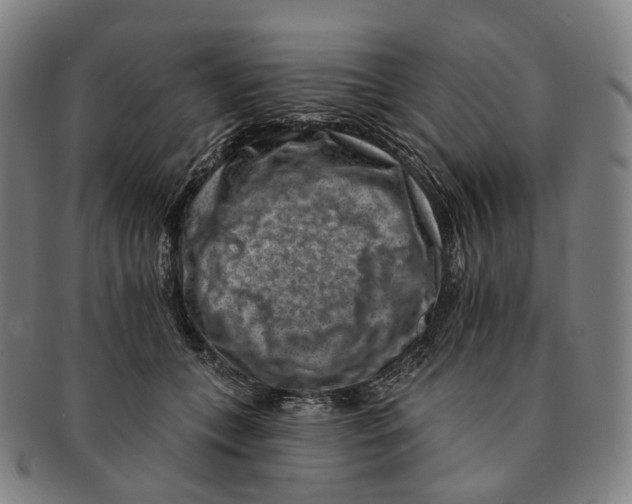 X0000091000559200708301337