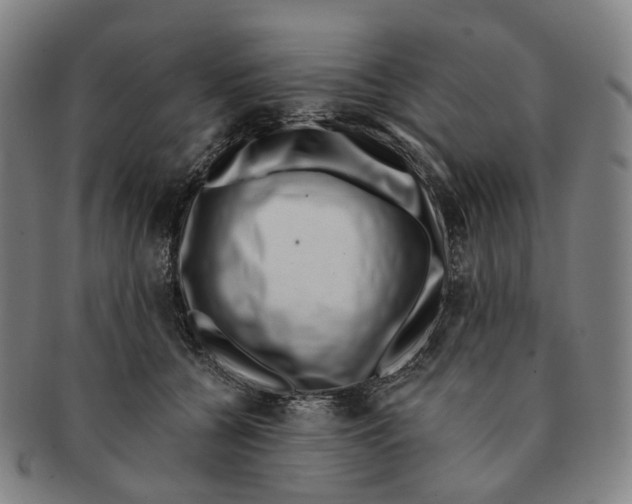 X0000091000560200708301337