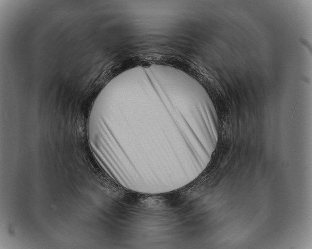 X0000091000561200708301337