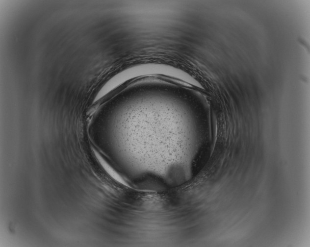 X0000091000562200708301337