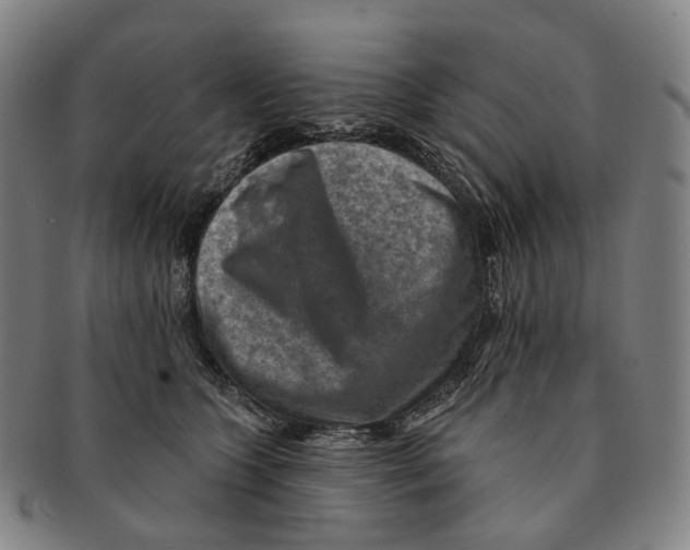 X0000091000563200708301337
