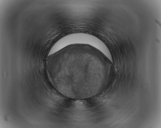 X0000091000566200708301337