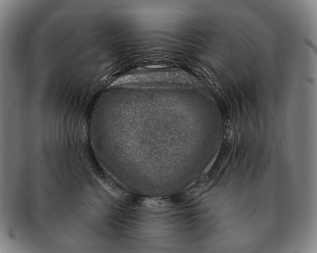 X0000091000568200708301337