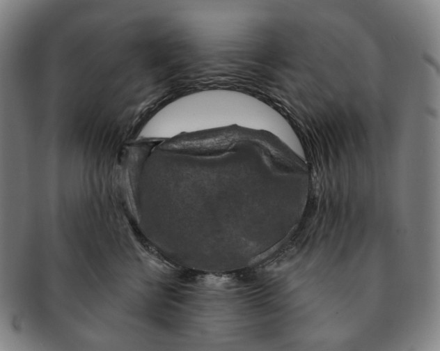 X0000091000570200708301337