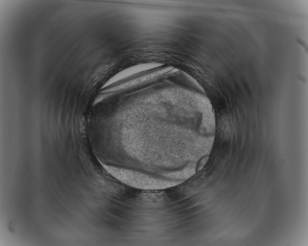 X0000091000571200708301337