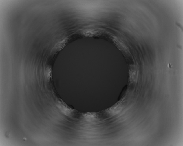 X0000091000574200708301337