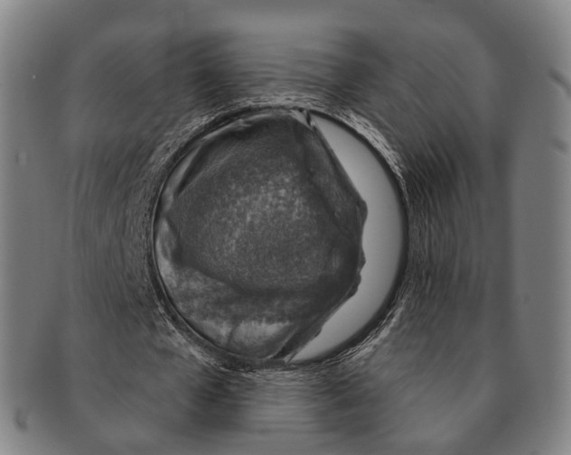 X0000091000577200708301337