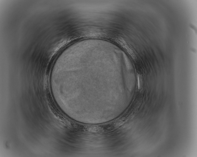 X0000091000579200708301337
