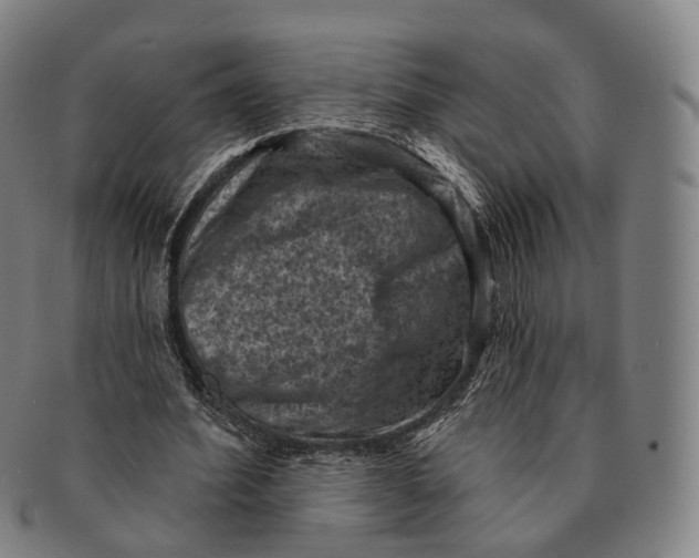 X0000091000580200708301337