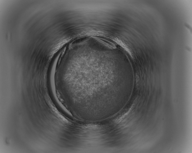 X0000091000581200708301337