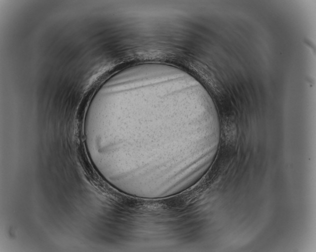 X0000091000583200708301337