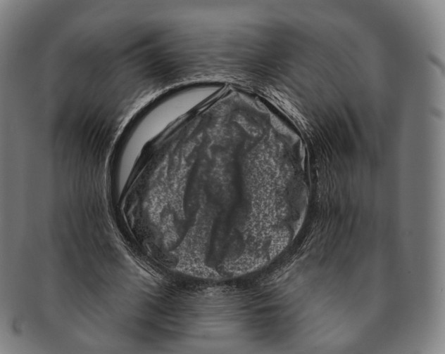 X0000091000584200708301337