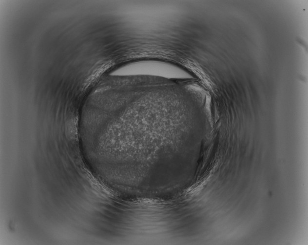 X0000091000585200708301337