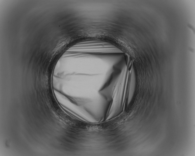 X0000091000587200708301337