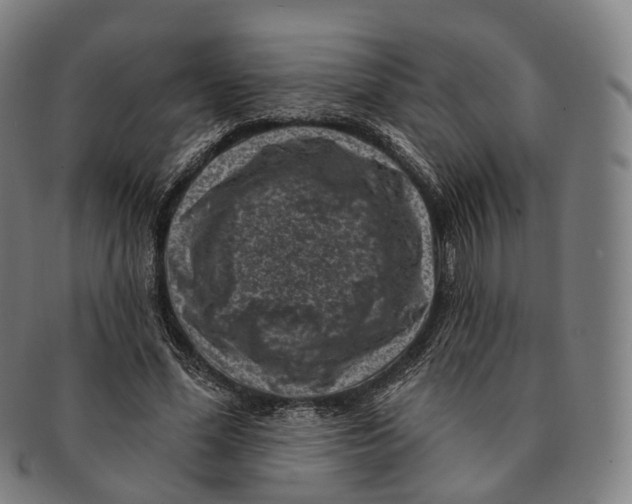X0000091000588200708301337