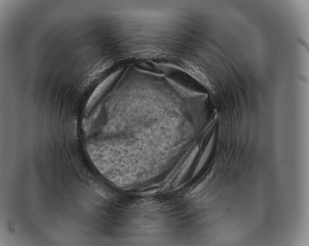 X0000091000589200708301337
