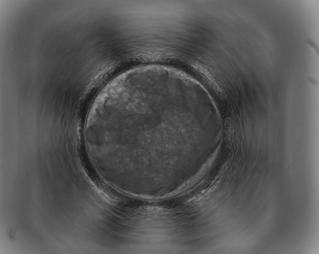 X0000091000590200708301337