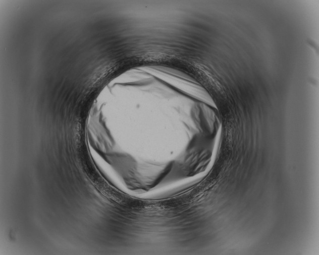 X0000091000591200708301337