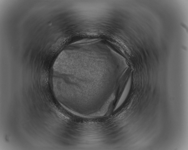 X0000091000593200708301336