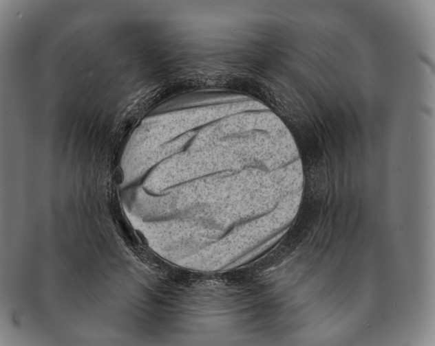 X0000091000594200708301336