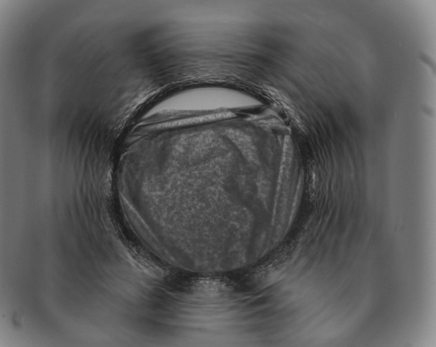 X0000091000596200708301336