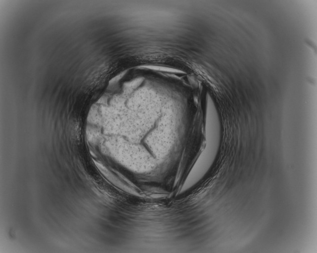 X0000091000597200708301336