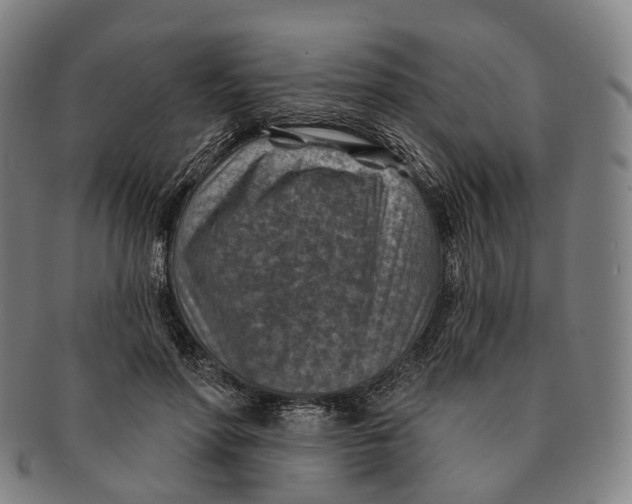 X0000091000598200708301336