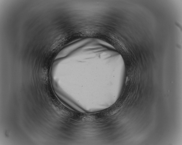 X0000091000599200708301336