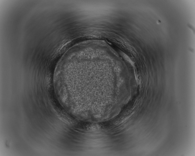 X0000091000600200708301336