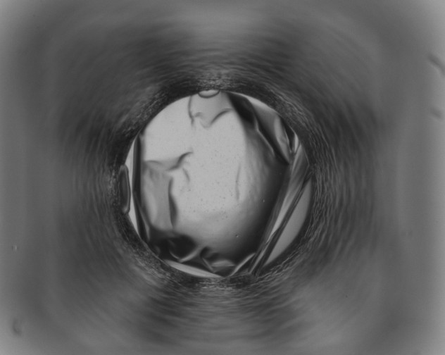 X0000091000601200708301336