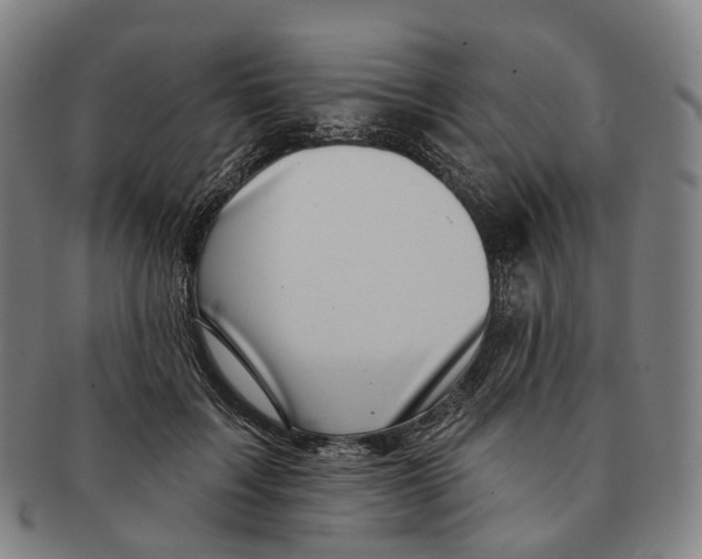X0000091000603200708301336