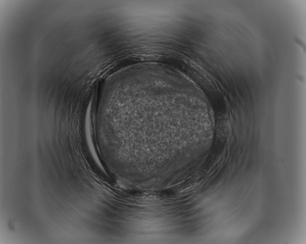 X0000091000604200708301336