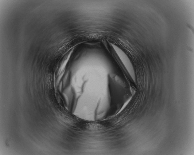 X0000091000605200708301336