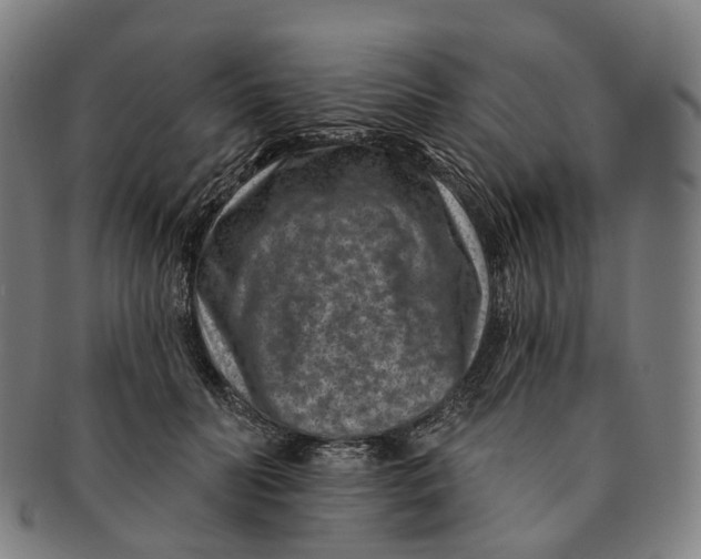 X0000091000606200708301336