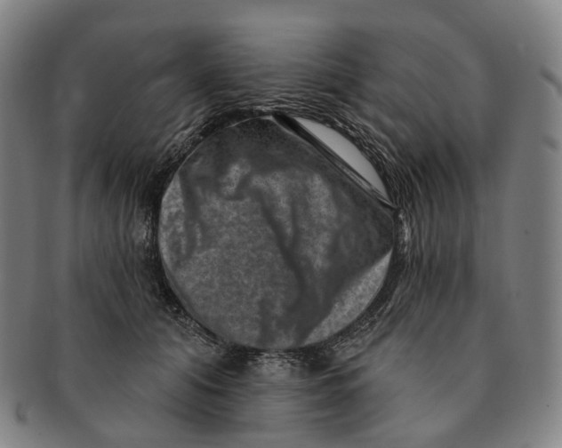 X0000091000608200708301336