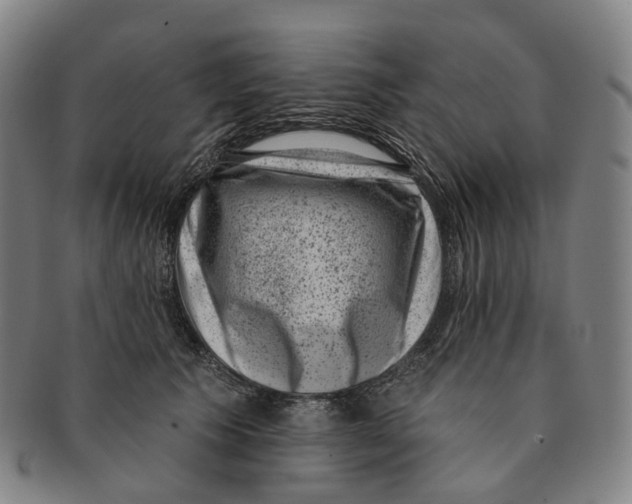 X0000091000609200708301336